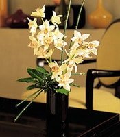 Farkl bir hediye rn isteyenler iin 1 dal kesme orkide iei aranjman