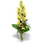 Ankara Aya iekilik grsel iek modeli firmamzdan tek dal vazoda kesme orkide iei